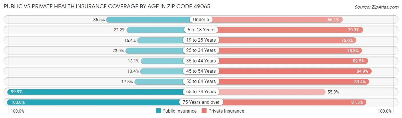 Public vs Private Health Insurance Coverage by Age in Zip Code 49065