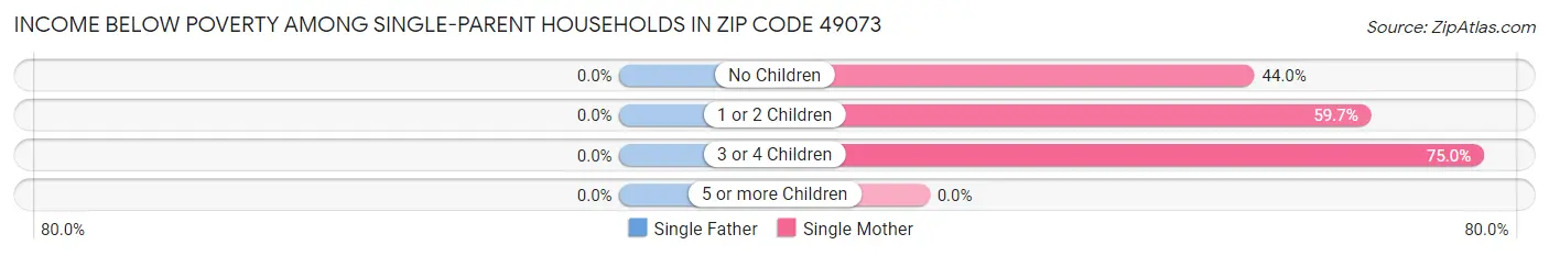 Income Below Poverty Among Single-Parent Households in Zip Code 49073
