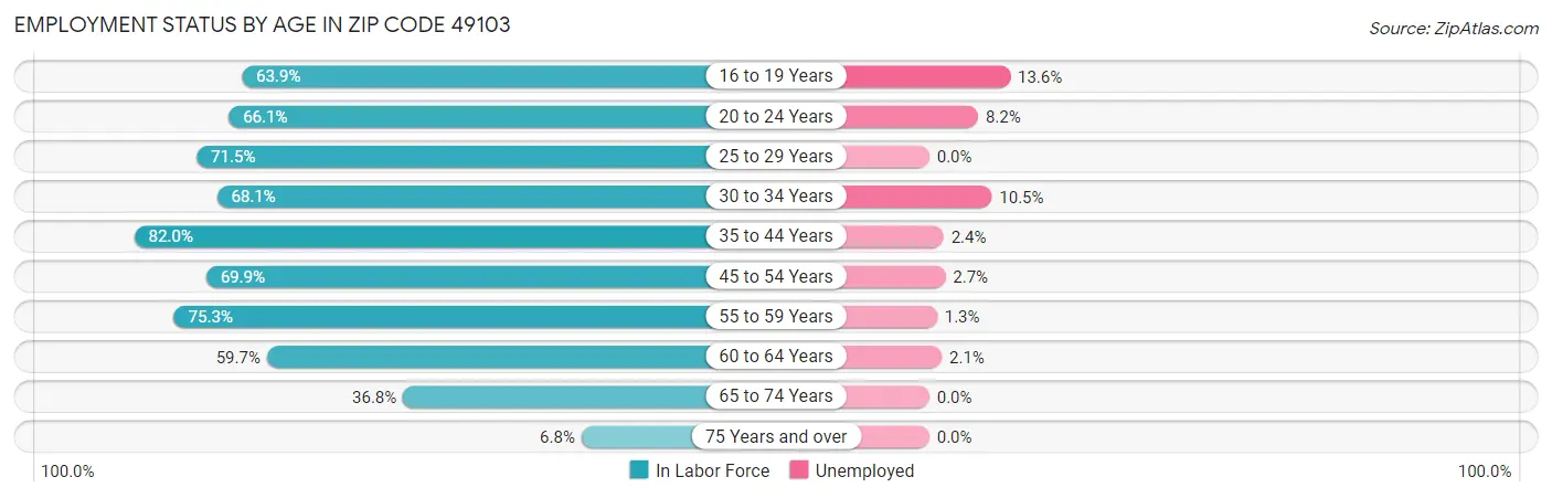 Employment Status by Age in Zip Code 49103