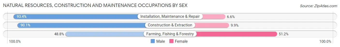 Natural Resources, Construction and Maintenance Occupations by Sex in Zip Code 49120