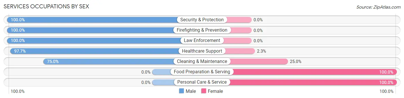 Services Occupations by Sex in Zip Code 49126