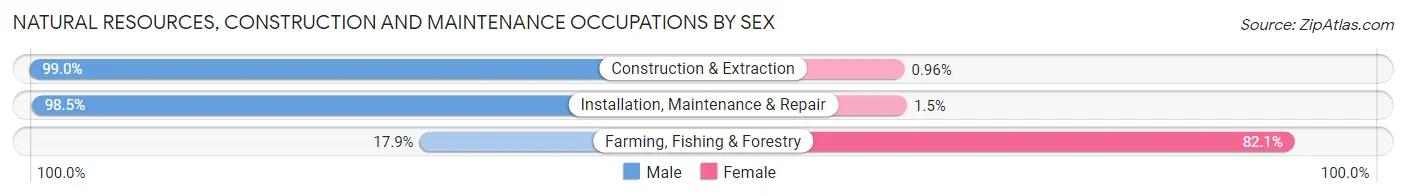 Natural Resources, Construction and Maintenance Occupations by Sex in Zip Code 49201