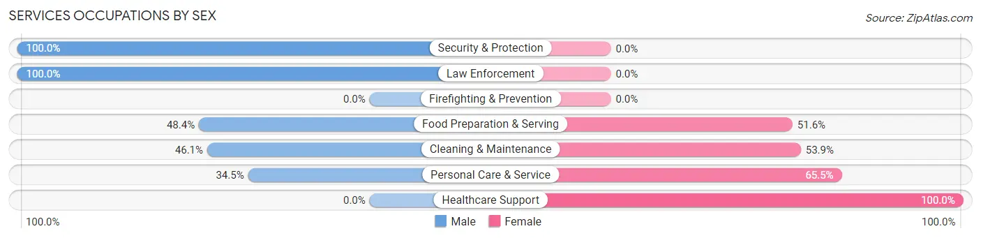 Services Occupations by Sex in Zip Code 49229
