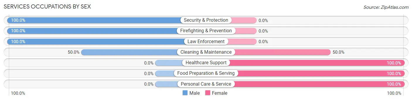 Services Occupations by Sex in Zip Code 49255