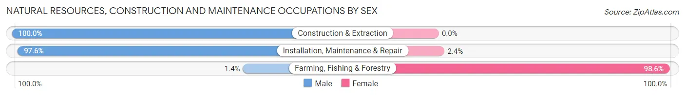 Natural Resources, Construction and Maintenance Occupations by Sex in Zip Code 49265