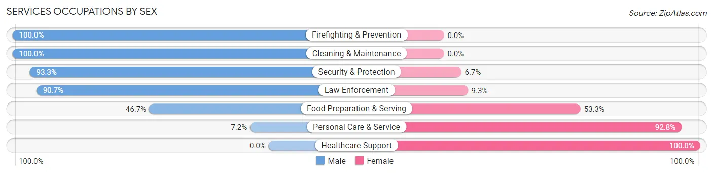 Services Occupations by Sex in Zip Code 49265