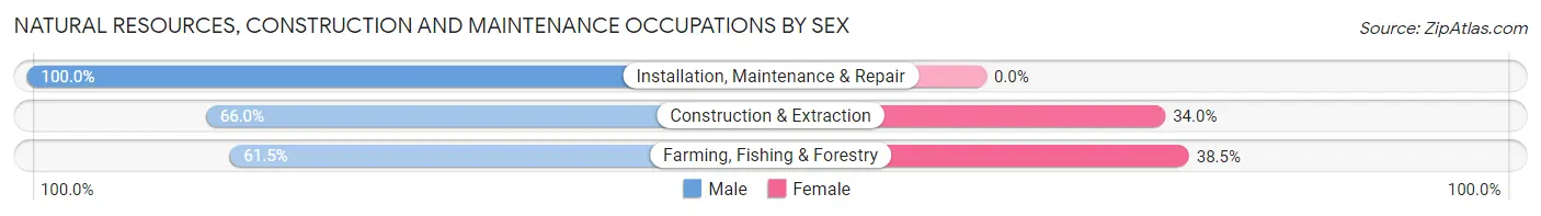 Natural Resources, Construction and Maintenance Occupations by Sex in Zip Code 49266