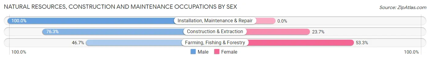 Natural Resources, Construction and Maintenance Occupations by Sex in Zip Code 49302