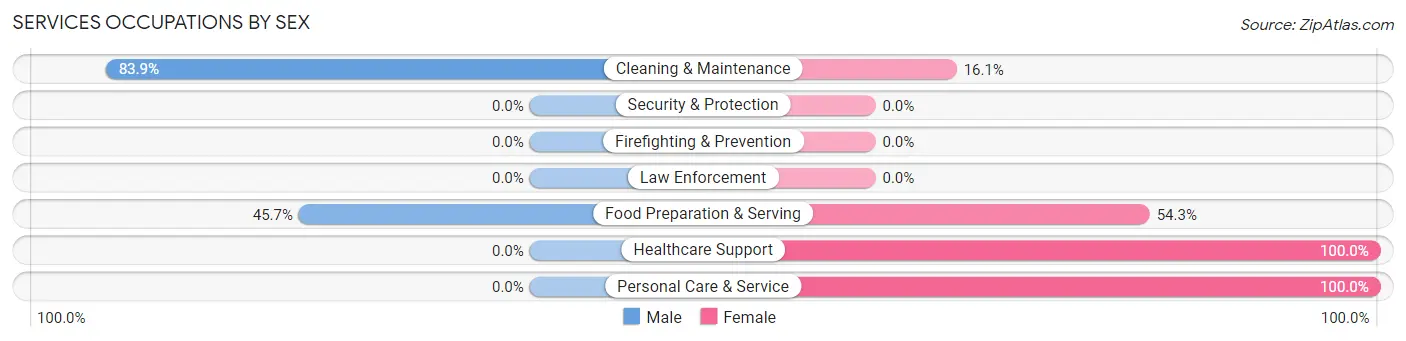 Services Occupations by Sex in Zip Code 49339