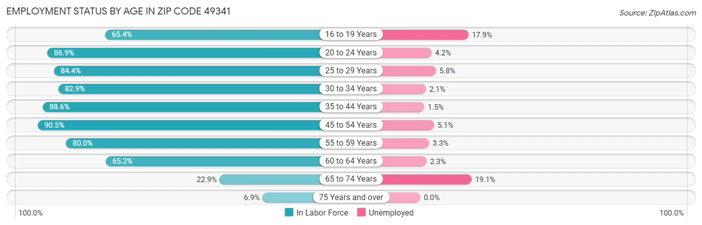 Employment Status by Age in Zip Code 49341