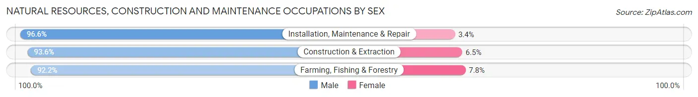 Natural Resources, Construction and Maintenance Occupations by Sex in Zip Code 49420