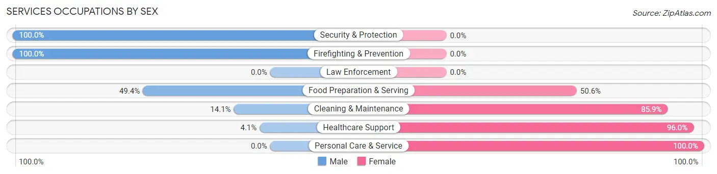 Services Occupations by Sex in Zip Code 49435