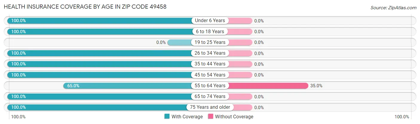 Health Insurance Coverage by Age in Zip Code 49458