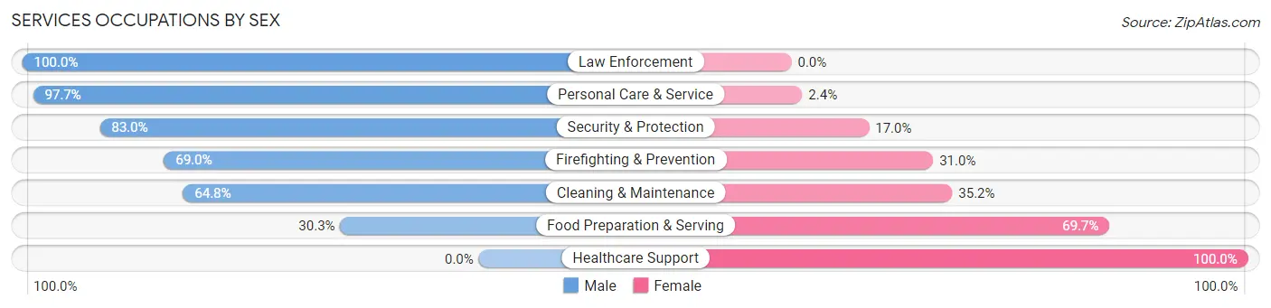 Services Occupations by Sex in Zip Code 49802