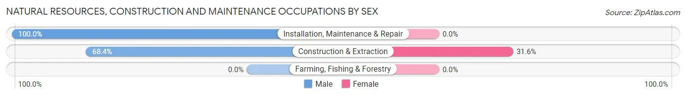 Natural Resources, Construction and Maintenance Occupations by Sex in Zip Code 49861