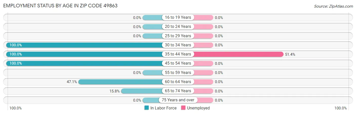 Employment Status by Age in Zip Code 49863