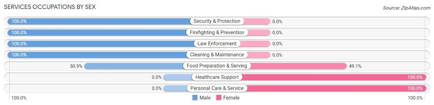 Services Occupations by Sex in Zip Code 49870