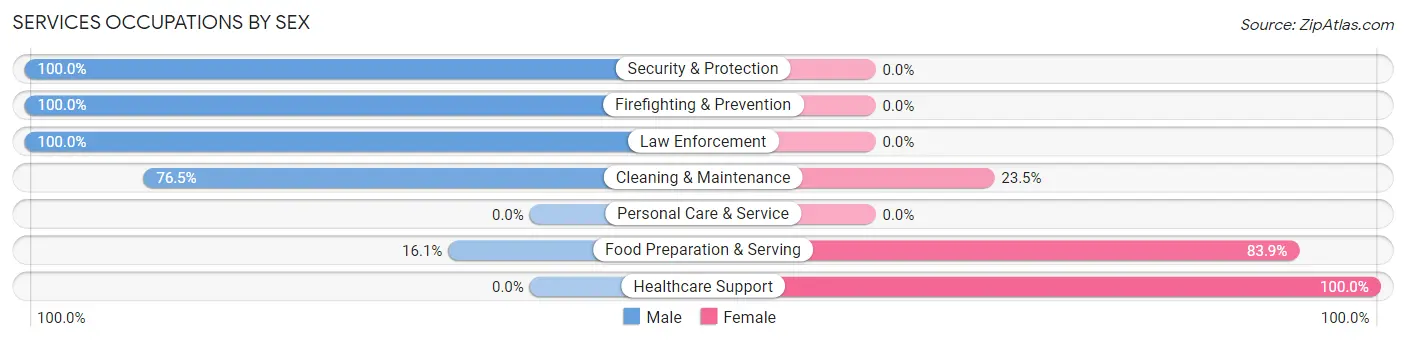 Services Occupations by Sex in Zip Code 49905