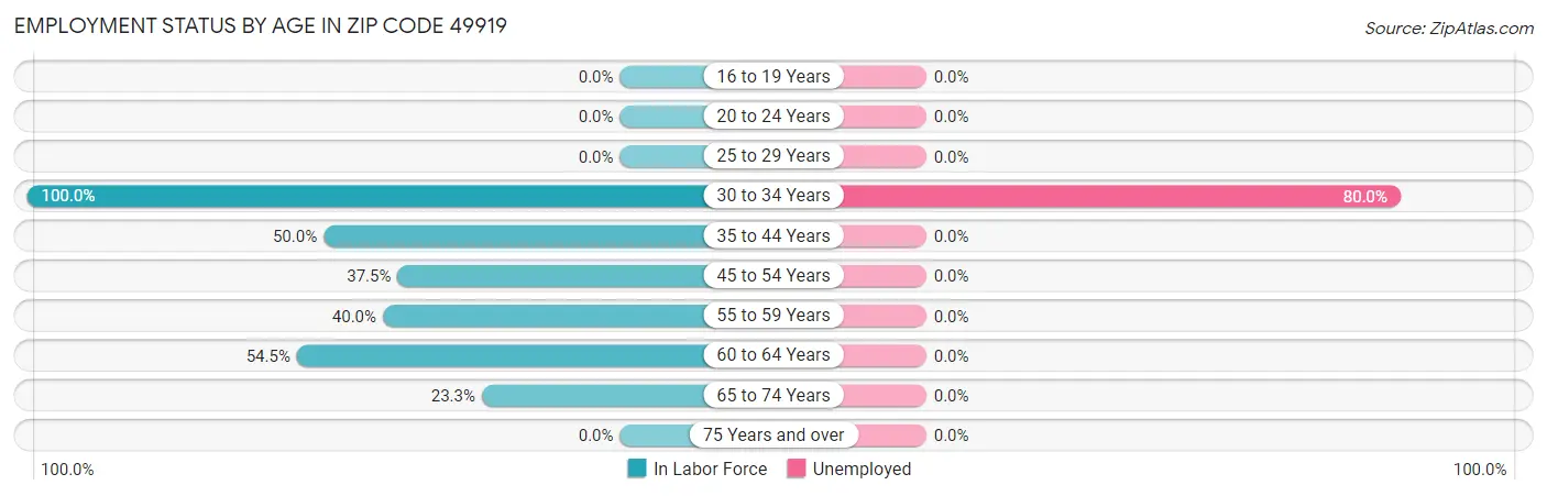 Employment Status by Age in Zip Code 49919