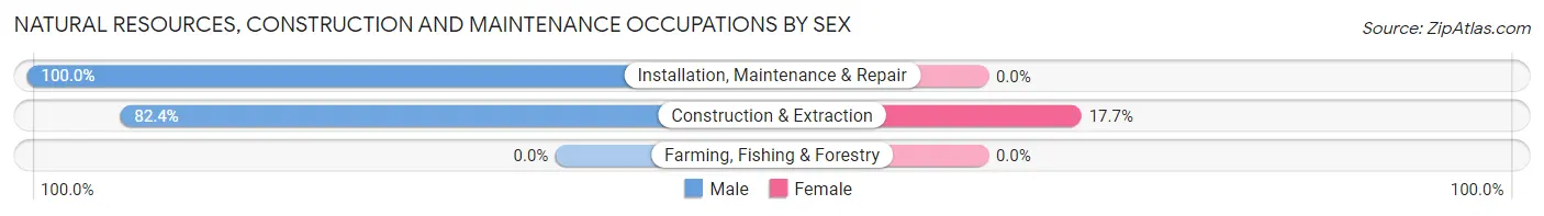 Natural Resources, Construction and Maintenance Occupations by Sex in Zip Code 50007