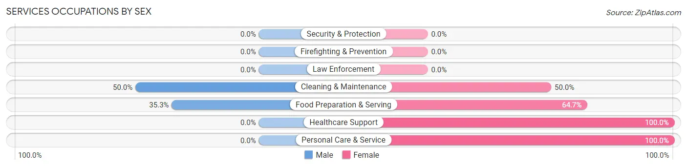 Services Occupations by Sex in Zip Code 50132