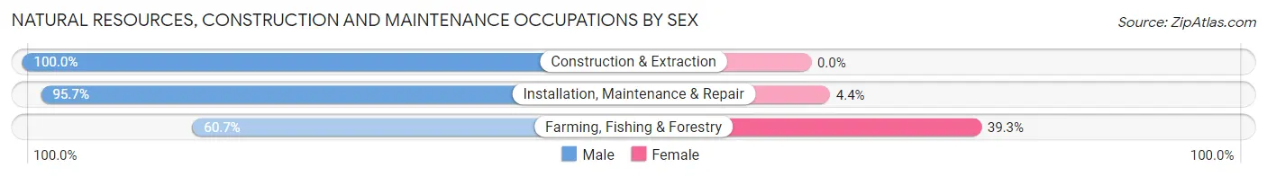 Natural Resources, Construction and Maintenance Occupations by Sex in Zip Code 51003