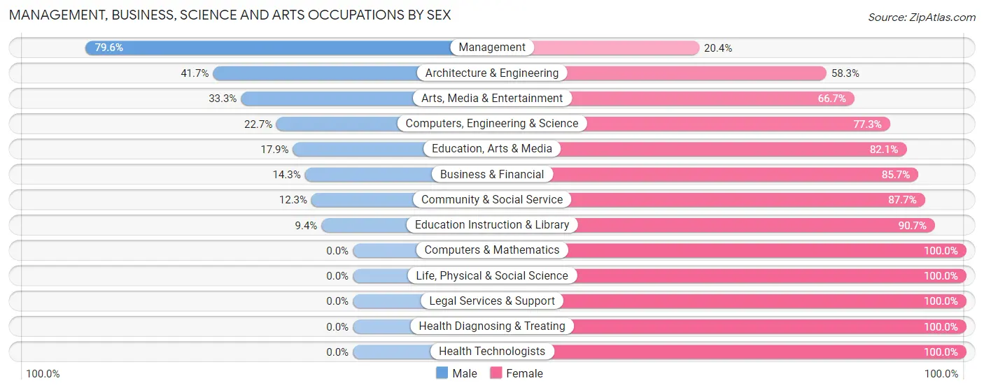 Management, Business, Science and Arts Occupations by Sex in Zip Code 51028