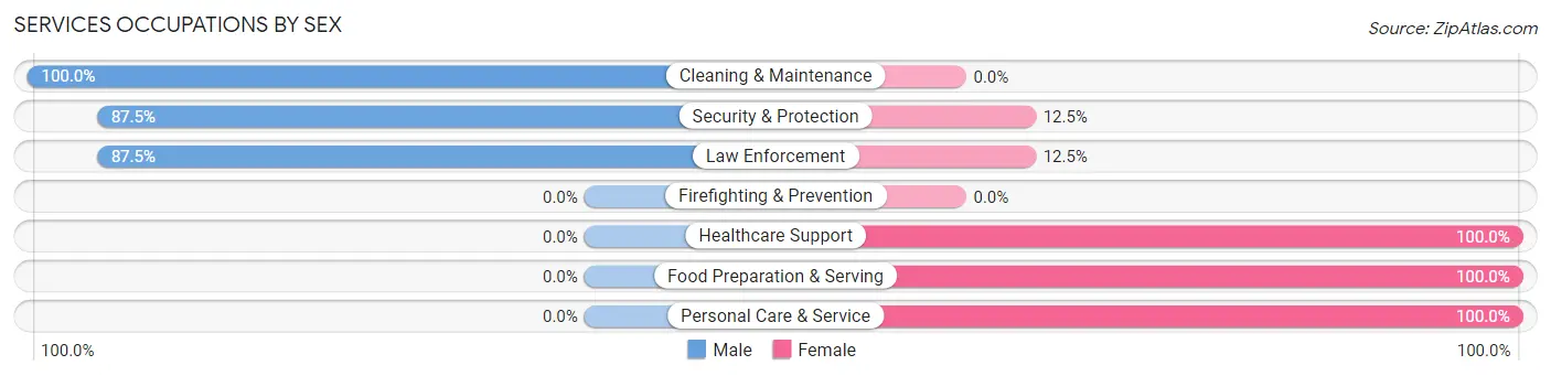 Services Occupations by Sex in Zip Code 51028