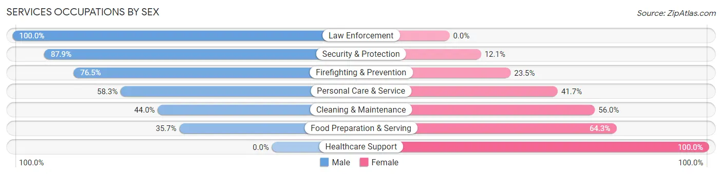 Services Occupations by Sex in Zip Code 51039