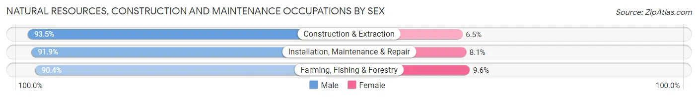 Natural Resources, Construction and Maintenance Occupations by Sex in Zip Code 51103