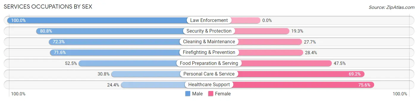Services Occupations by Sex in Zip Code 51104