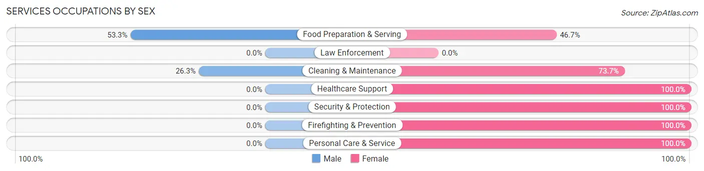 Services Occupations by Sex in Zip Code 51249