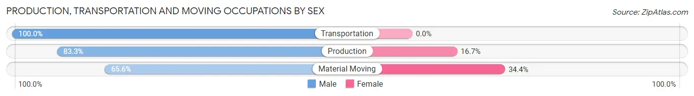 Production, Transportation and Moving Occupations by Sex in Zip Code 51342