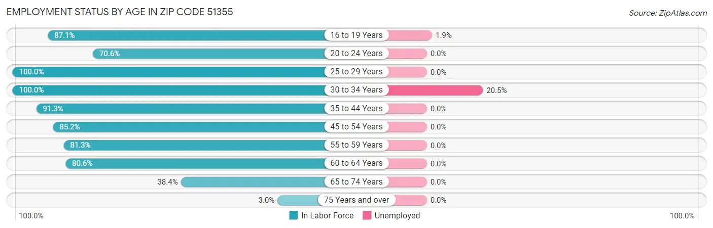 Employment Status by Age in Zip Code 51355