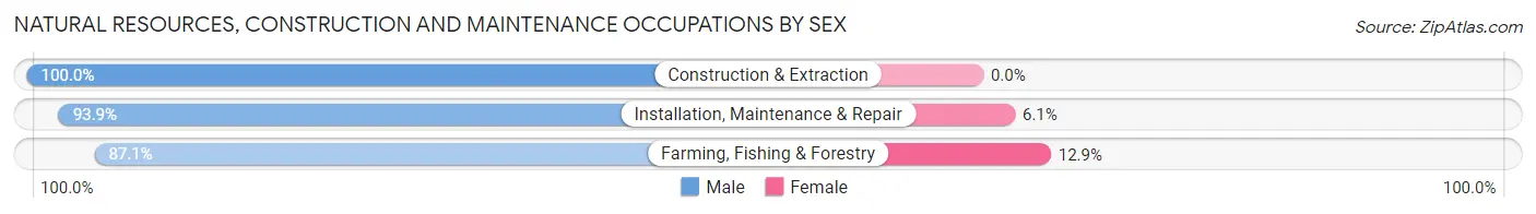 Natural Resources, Construction and Maintenance Occupations by Sex in Zip Code 51401
