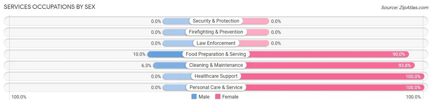 Services Occupations by Sex in Zip Code 52041