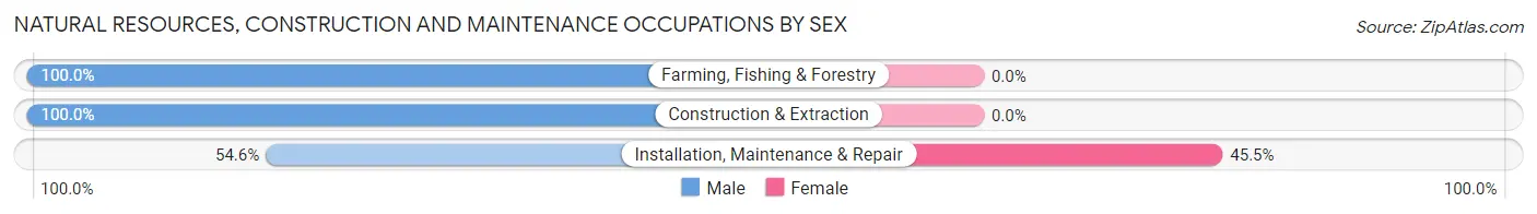 Natural Resources, Construction and Maintenance Occupations by Sex in Zip Code 52330