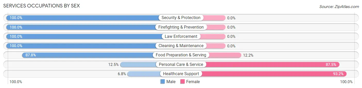Services Occupations by Sex in Zip Code 53103