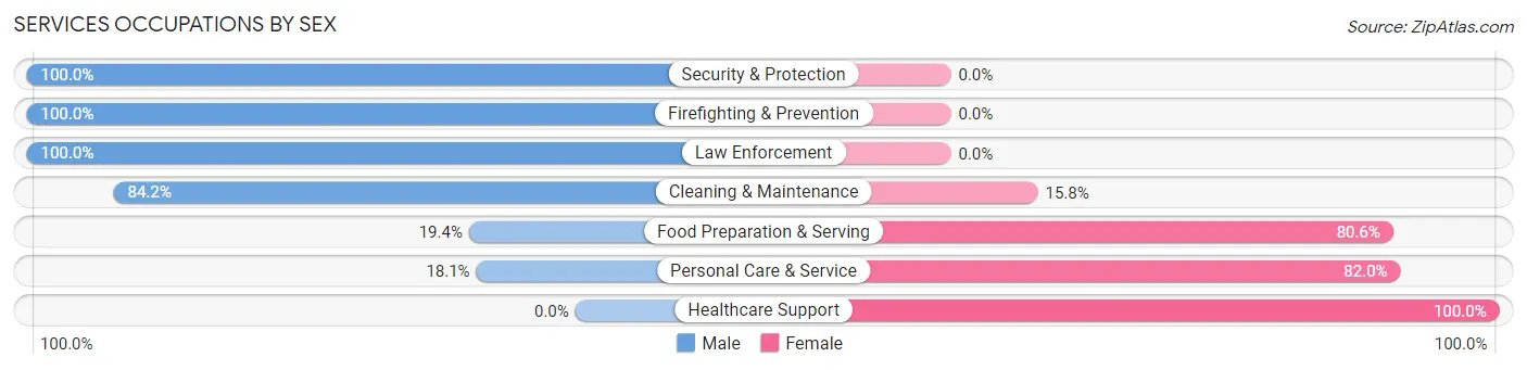 Services Occupations by Sex in Zip Code 53129