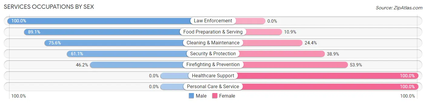 Services Occupations by Sex in Zip Code 53153