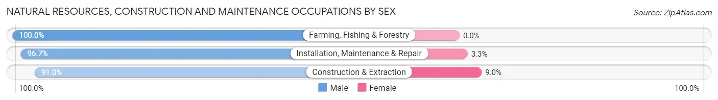 Natural Resources, Construction and Maintenance Occupations by Sex in Zip Code 53523