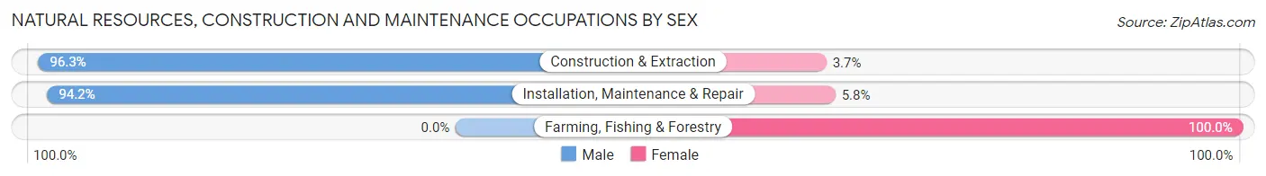 Natural Resources, Construction and Maintenance Occupations by Sex in Zip Code 53713