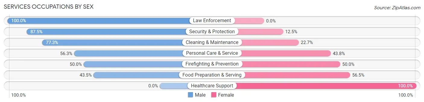 Services Occupations by Sex in Zip Code 53806