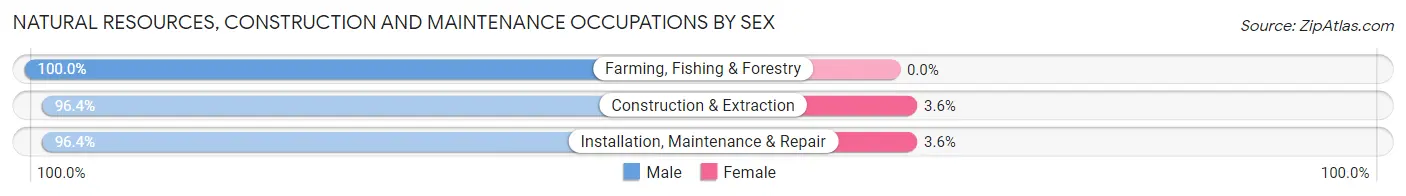 Natural Resources, Construction and Maintenance Occupations by Sex in Zip Code 53911