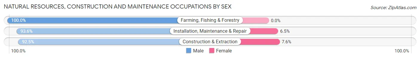 Natural Resources, Construction and Maintenance Occupations by Sex in Zip Code 53929