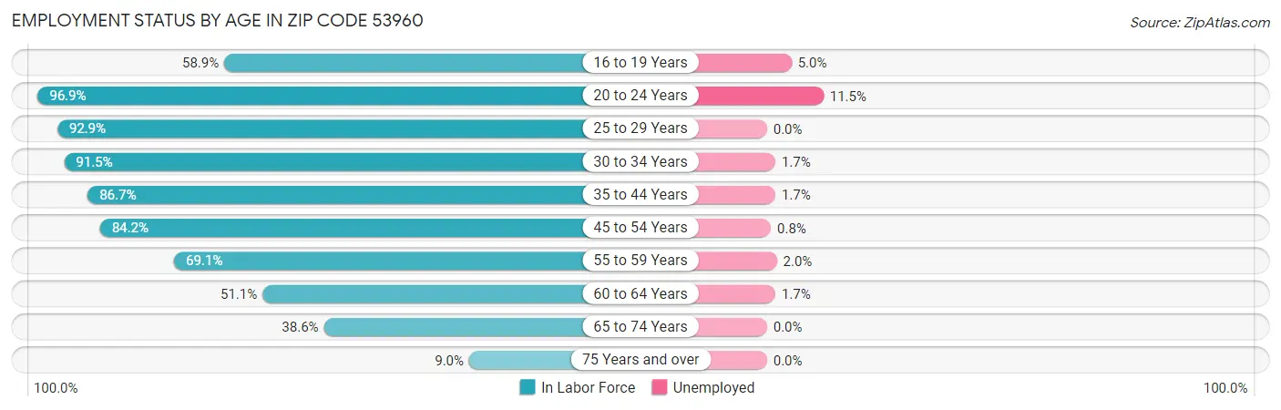 Employment Status by Age in Zip Code 53960