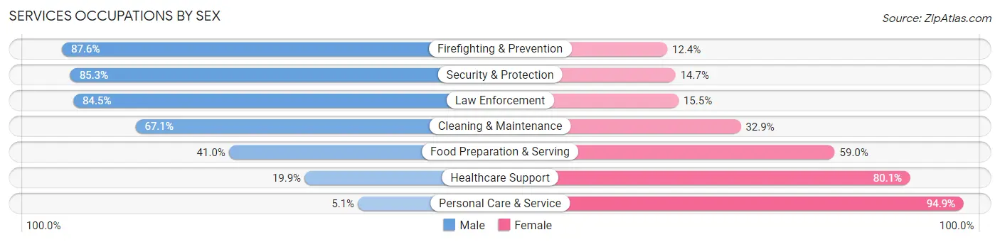 Services Occupations by Sex in Zip Code 53963