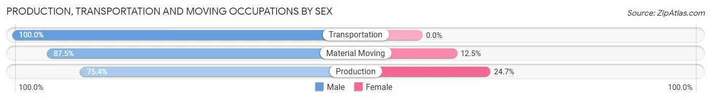 Production, Transportation and Moving Occupations by Sex in Zip Code 54004