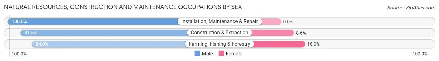 Natural Resources, Construction and Maintenance Occupations by Sex in Zip Code 54101