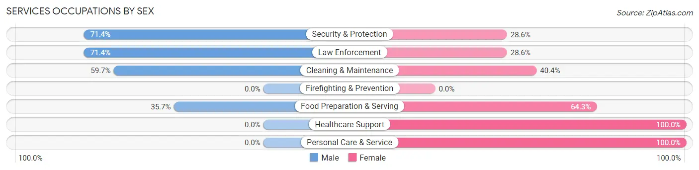Services Occupations by Sex in Zip Code 54174